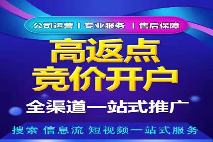 案例研究：SEM推广助力企业业绩增长